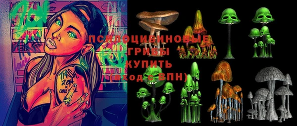 ешки Бронницы
