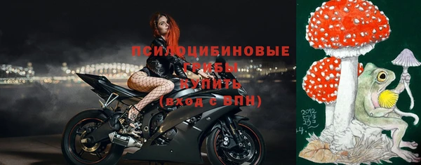 ГАЛЛЮЦИНОГЕННЫЕ ГРИБЫ Богданович