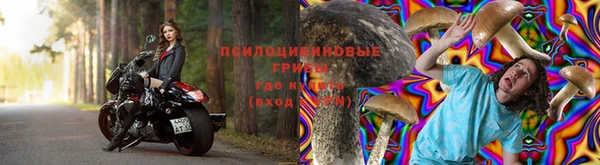 не бодяженный Бородино