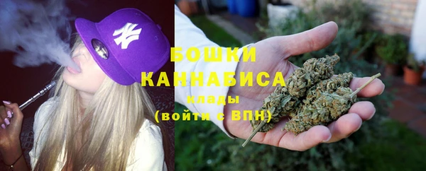 ешки Бронницы